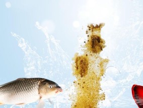 在美国钓鱼时如何选择合适的鱼饵种类？有哪些技巧和建议？