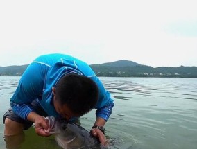 野外钓大鱼有哪些技巧？如何提高钓鱼客的钓鱼效率？
