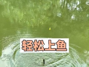 钓鱼技巧大揭秘（轻松掌握高效钓鱼的秘诀）