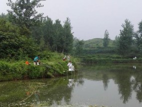 春天堰塘钓鱼技巧大揭秘（提升钓鱼技能，享受春天的美好钓鱼时光）
