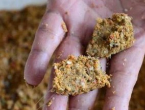 如何选择合适的钓鱼技巧和饵料配方法？
