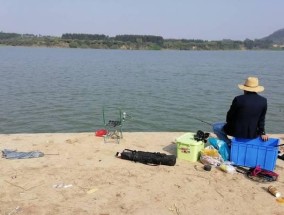 海滩沉底钓鱼技巧有哪些？如何提高钓鱼成功率？