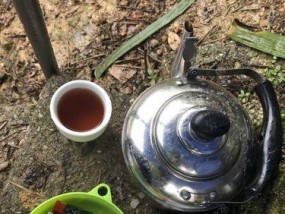 如何在钓鱼时正确使用打伞技巧？常见问题有哪些？