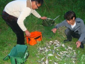 槟城跨海大桥钓鱼技巧有哪些？如何在槟城跨海大桥上钓到更多鱼？