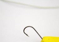 绑钓鱼钩的方法和技巧（掌握绑钓鱼钩的窍门，提高垂钓成功率）