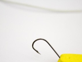 绑钓鱼钩的方法和技巧（掌握绑钓鱼钩的窍门，提高垂钓成功率）