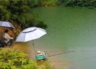 钓鱼实战技巧有哪些？如何提高钓鱼成功率？