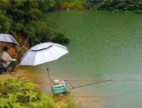 钓鱼实战技巧有哪些？如何提高钓鱼成功率？