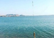 钓鱼浮技巧大揭秘（掌握钓鱼浮技巧，提升钓鱼成功率）