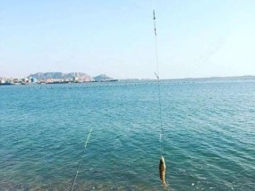 钓鱼浮技巧大揭秘（掌握钓鱼浮技巧，提升钓鱼成功率）