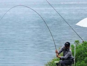 丹江小库钓鱼技巧和方法有哪些？如何提高钓鱼效率？