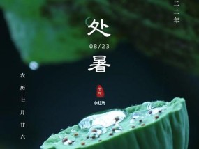 夜钓鲤鱼的技巧（以处暑节野河夜钓鲤鱼的乐趣与技巧）