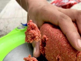 全水域钓鱼技巧教程（掌握技巧）
