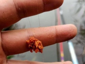窝料钓鱼调漂的技巧与方法（窝料钓鱼调漂技巧大揭秘）