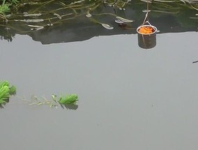 野外七星钩钓鱼技巧与方法（探秘七星钩鱼技术点燃你的钓鱼热情）