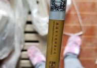 海龙王钓鱼技巧有哪些？如何提高钓鱼成功率？