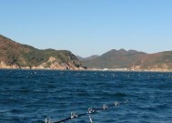 海上钓鱼技巧教程有哪些？如何快速掌握？