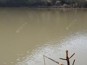 家养鱼塘钓鱼技巧（打造家中钓鱼天堂）