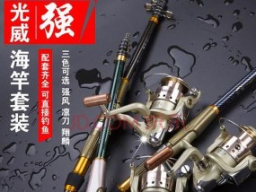 掌握矶竿钓鱼技巧的秘诀（以鱼排为诱饵）