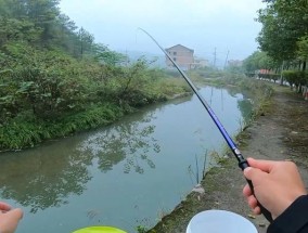 春季野塘钓鱼技巧大揭秘（选钓位和时间，让你钓到满满的收获）