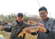如何在钓鱼大赛中脱颖而出？掌握这些技巧教程了吗？