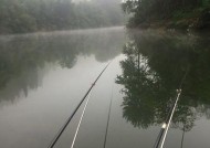 小溪野钓选位技巧（选择最佳钓点）