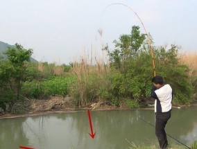 冬季使用猪肝作饵钓鱼有哪些技巧？如何提高钓获率？