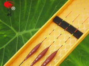 枣核漂钓鱼技巧（掌握技巧）