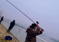 海竿加七星钩怎么用？钓鱼时有哪些技巧？