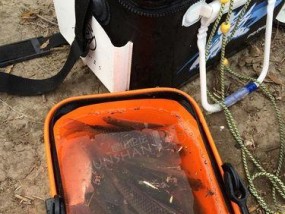 跋山涉水钓鱼技巧教程？如何在野外成功钓到鱼？