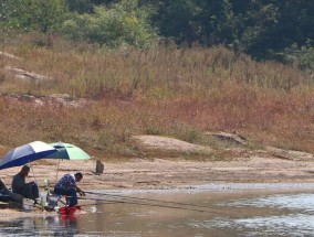 初夏水库野钓技巧教程（初夏水库钓鱼攻略，助你抓住丰收季的丰鱼！）