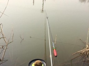 鱼塘红虫钓鱼技巧（提升钓鱼成功率的绝佳秘籍）