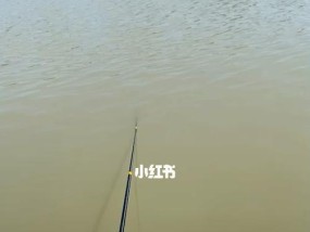师傅与徒弟钓鱼的秘诀（传授技巧师传徒双钓鱼技艺共进步）