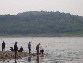 如何选择适合野钓鲤鱼的线组？野钓鲤鱼时常见的线组问题有哪些？