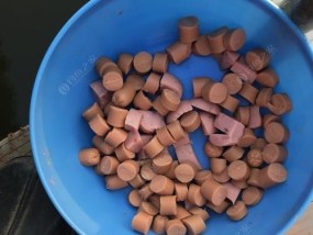野钓高手的做窝技巧（揭秘钓鱼大师的捕鱼秘笈）