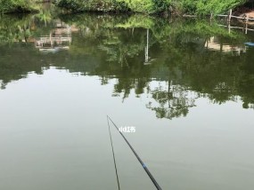 《海城钓鱼吧——探讨钓鱼技巧》（技巧、经验、交流）