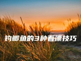 钓鲫鱼的浮调漂技巧教程（钓鲫鱼的高效技巧分享）