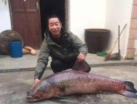 钓鱼技巧（探索高级钓鱼技巧，揭秘捕获巨型鱼的窍门）