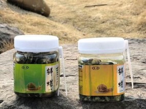 螺蛳窝钓鱼技巧（细致入微）