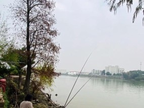 钓鱼高手的绝技（揭秘钓鱼高手的成功秘籍）