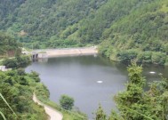 罗山水库钓鱼技巧（掌握罗山水库钓鱼技巧提升钓获数量）
