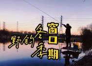 冬天钓鱼有哪些技巧？如何提高冬季钓鱼的成功率？