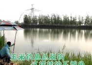 海南淡水钓鱼技巧有哪些？如何提高钓鱼成功率？