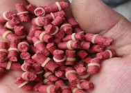 冬天钓鱼如何选择最佳技巧和饵料配方？
