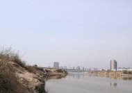 渭水钓鱼技巧教学（掌握渭水钓鱼技巧）