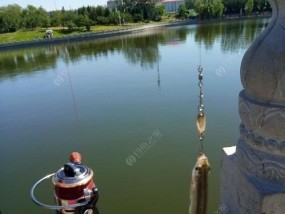 冬天运河钓鱼方法和技巧是什么？如何提高冬季钓鱼成功率？