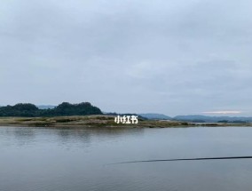 丹江湖钓鱼技巧有哪些？如何提高钓鱼成功率？
