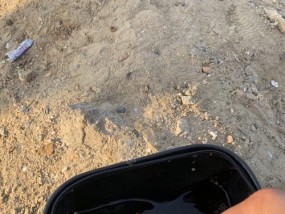 夜钓海钓的技巧与钓组解析（掌握钓组搭配与技巧）