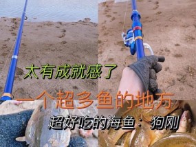 海沟子钓鱼技巧有哪些？如何提高海沟子钓鱼的成功率？