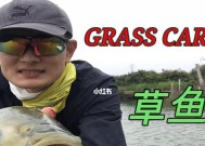 小黄钓鱼技巧教学（掌握小黄钓鱼的窍门）